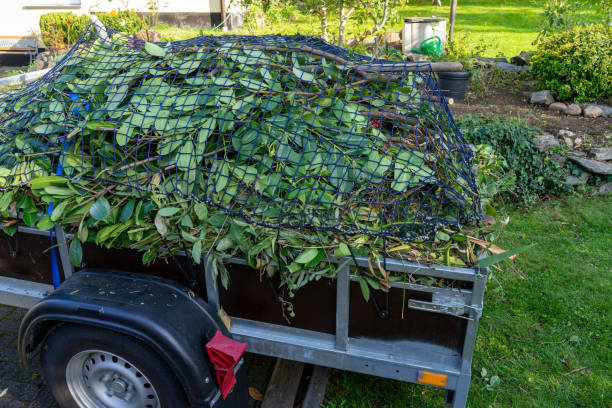 Best Dumpster Rental Services  in Tylertown, MS